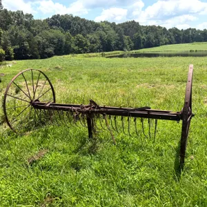 Lot 20