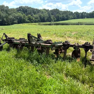 Lot 16