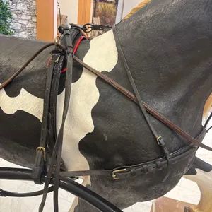 FULL COLLAR AND HAMES HEAVY DRAFT HORSE HARNESS