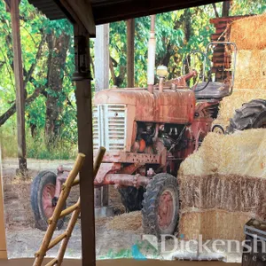 TRACTOR WITH HAY BALES BACKDROP
