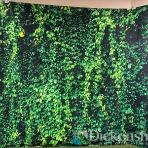 VINE BACKDROP