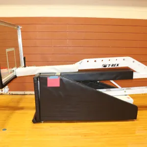 T-Rex Portable Basketball System