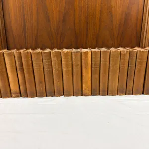 Vintage Charles Dickens Books