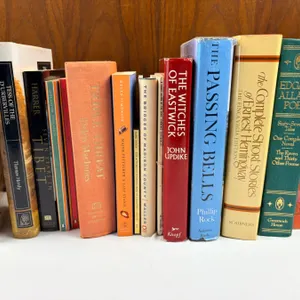 Fiction Book Lot