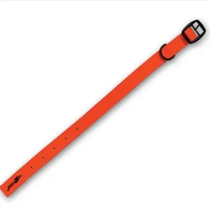 ASD Blaze Orange Standard Dog Collar Large 24"-27"