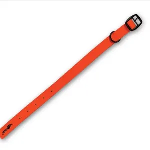 ASD Blaze Standard Dog Collar Small 15"x18"