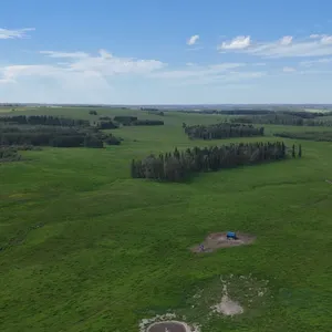 Real Estate Auction for Guy & Wendy Paris - Rimbey, AB - October 23rd to 28th, 2026