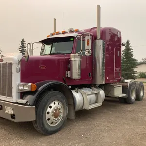 2006 Peterbilt Conventional VIN: 1XPFDB9X96D890010
