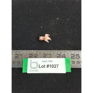Miniature Glass Goldfish Ornament
