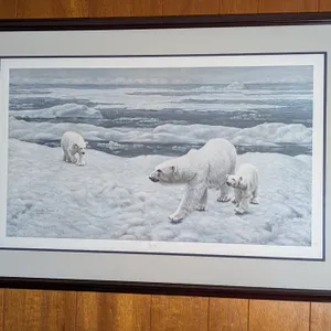 Charles Fracé "Polar Bear" Framed Print