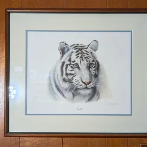 Charles Fracé "White Tiger" Framed Print