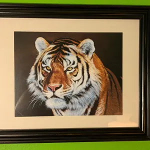 Framed Tiger Portrait Print