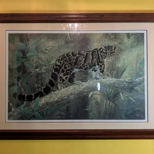 Charles Frace Clouded Leopard Print
