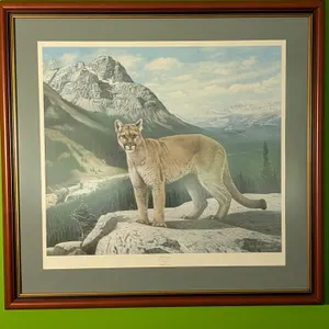 Charles Fracé Limited Edition Cougar Print