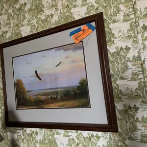 Framed Marc Hanson Eagle Picture