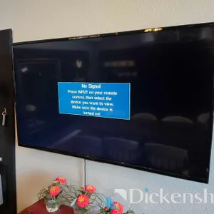 52 IN INSIGNIA WIDE SCREEN FLAT PANEL TELEVISION WITH