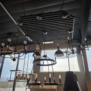 (6) CHANDELIERS & HANGING CEILING LIGHTS