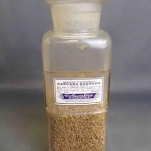 Antique Glass Pharmacy Herb/Seasoning Bottle w/Lid