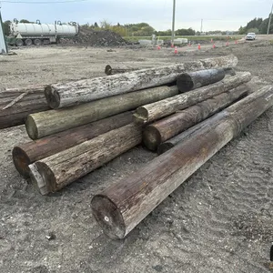 Hydro Poles
 UNRESERVED