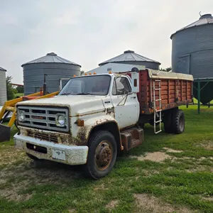 1974 GMC 6000 Grain Truck - Located offsite by Hepburn, SK