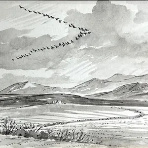 DONALD WATSON "GEESE ARRIVING OVER THE HIGHLANDS"