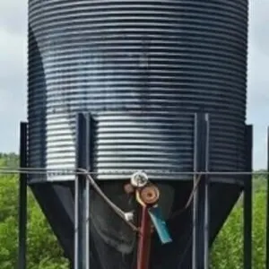 Bulk Grain Bin Overhead w/Auger