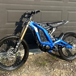 2025 Sur-Ron Ultra Bee~In Mint Condition!
