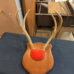 Antler mount