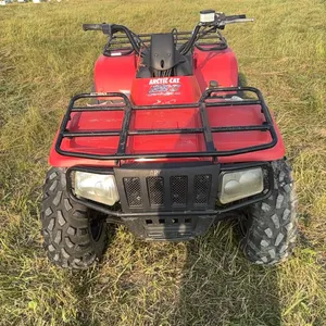 Arctic Cat 250 Quad