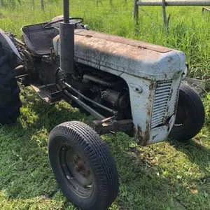 1953 (?) Ferguson 35 Tractor- OFF SITE PICK UP