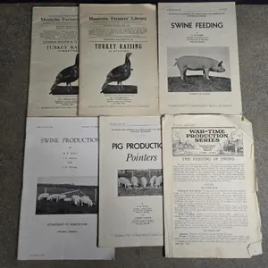 Vintage Collectors Auction