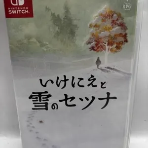Legend of Zelda Japanese Nintendo Switch Game