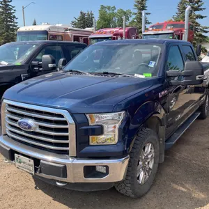 2016 F150 XLT Standard Box Truck  VIN: 1FTFWIEGHGKF36954