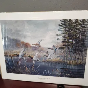 "Autumn Splendor" Floyd Hubbard print