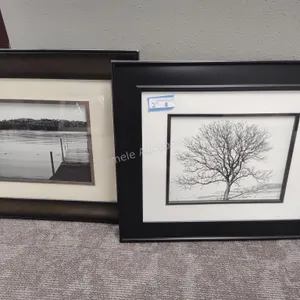 2 framed prints