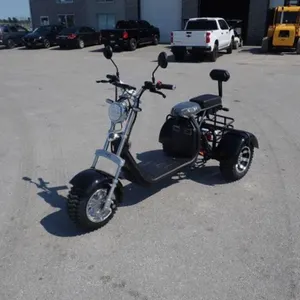 2024 Shansu YouPi 60V Electric Tricycle R36CP3010R