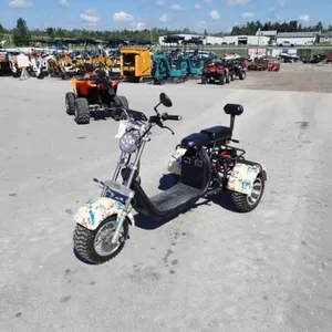 2024 Shansu YouPi 60V Electric Tricycle R36CP3010R