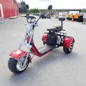 2024 Shansu YouPi 60V Electric Tricycle R36CP3010R