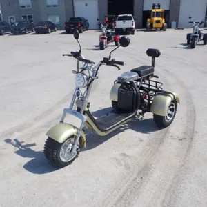 2024 Shansu YouPi 60V Electric Tricycle R36CP3010R