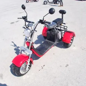 2024 Shansu YouPi 60V Electric Tricycle R36CP3010R