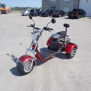 2024 Shansu YouPi 60V Electric Tricycle R36CP3010R