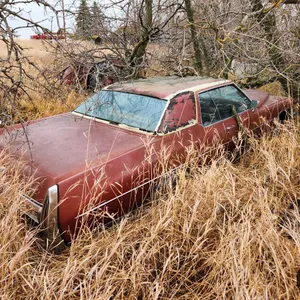 1971 Cadillac Car (Parts Only)
 UNRESERVED