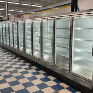 Zero Zone RI-5-DFR-SZ 5-door glass door frozen food display case. Features solid shelving, interior lighting, and anti-sweat heaters. Designed for rem