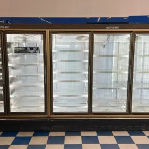 Master-Bilt EL-2-30 5-door glass door frozen food display case. Features wire shelving and interior lighting. Note: Compressor is not included.