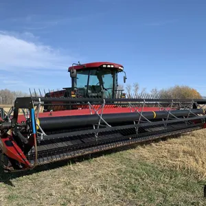 2009 Case WD 1203 Swather w/ 30' Case DH302 Header
 UNRESERVED