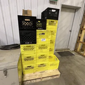 Pallet of Milk Crates (40)
 UNRESERVED