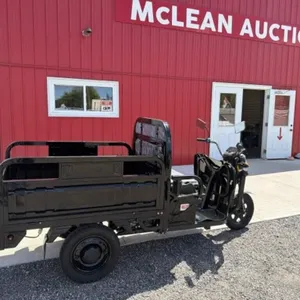 2026 Unused Electric Trycycle Et13 Black