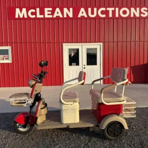 2026 Unused Sdlanch Electric Tricycle/cart Mgc40