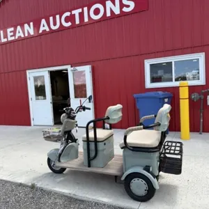 2025 Unused Electric Tricycle Irgc40 Blue/gray
