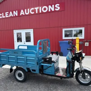2025 Unused Electric Tricycle Iret15 Blue